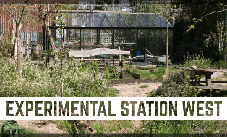 A City Made By People: regenbestendige stad