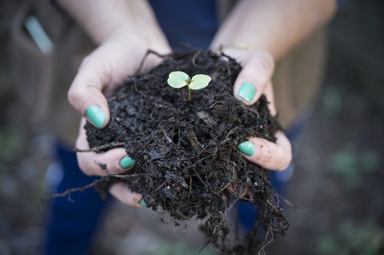 Meewerkdag in de tuin van Midwest (januari 2023)