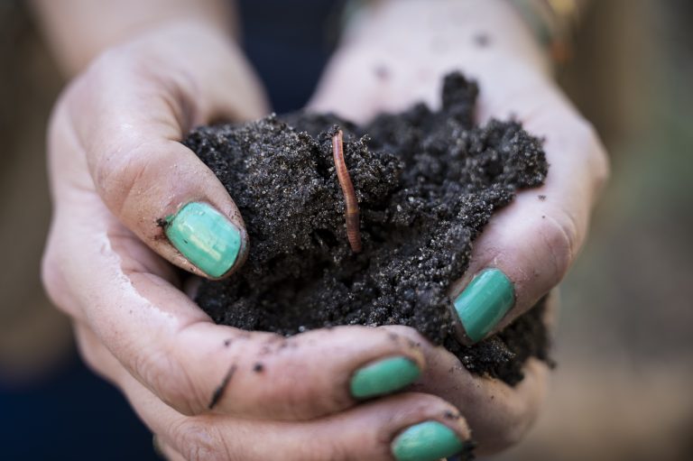 Lentefeestje X Broeii