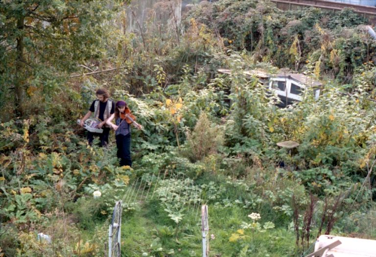 MidWest Radio Gymzaalconcert: the||apiary x interbellum