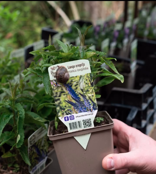 Biodiversiteit in MidWest